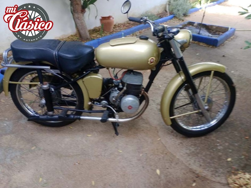 Brio 81