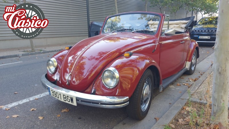 Escarabajo cabrio