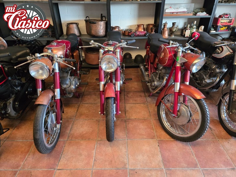 LOTE DUCATI