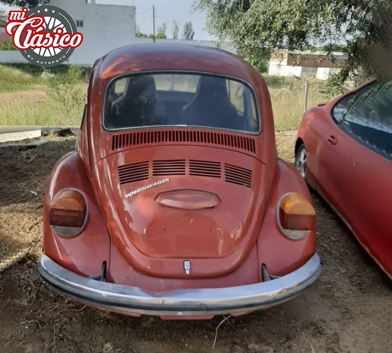 ESCARABAJO 1303