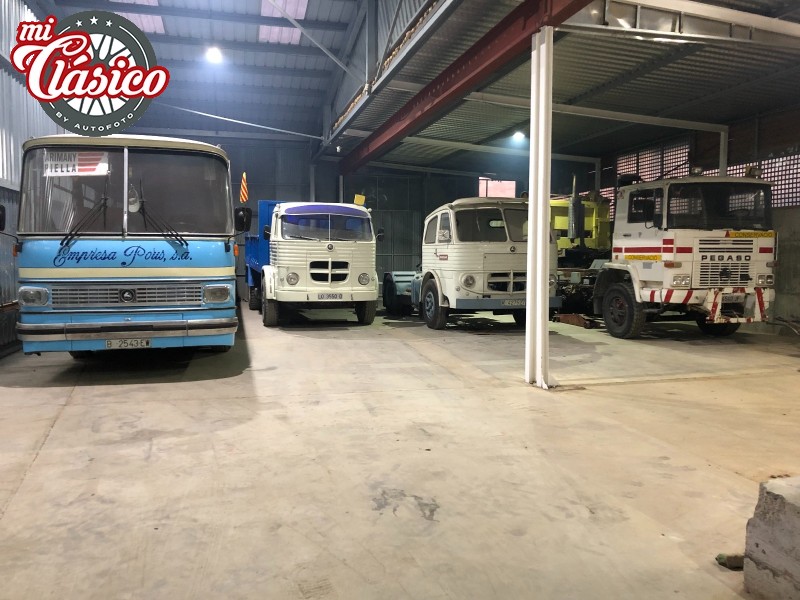Pegasos en venta