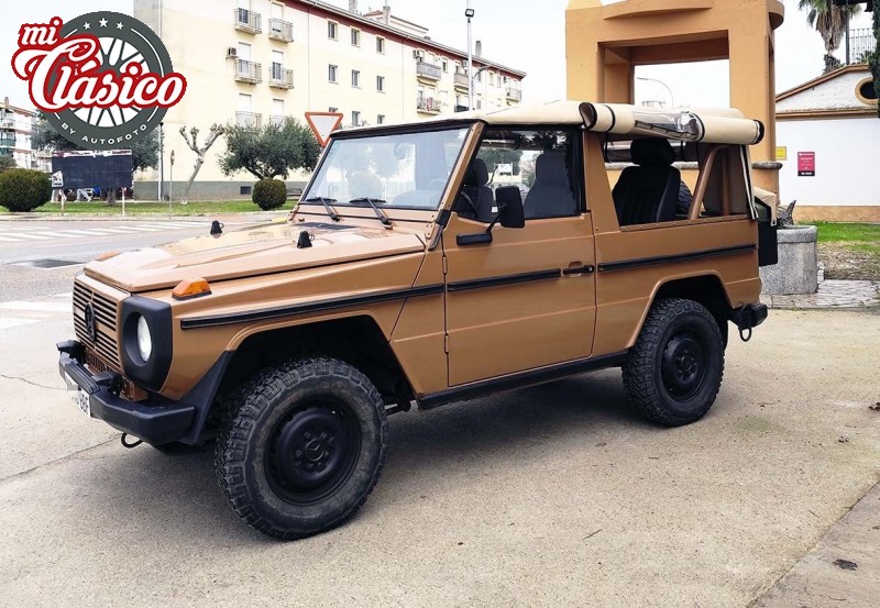 G250 WOLF CABRIO
