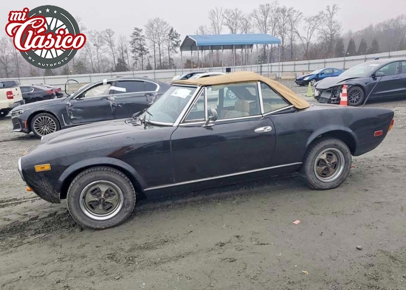 124 SPIDER