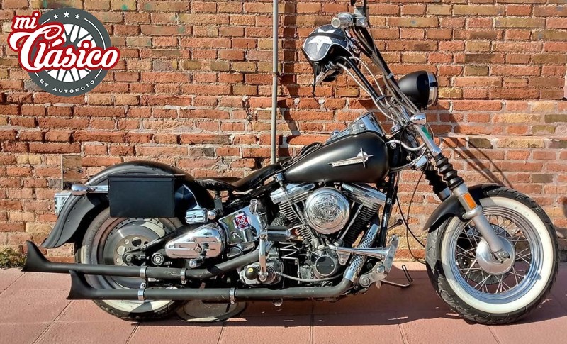 SOFTAIL CUSTOM