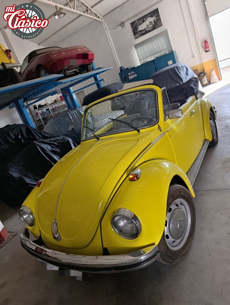 Escarabajo 1303L