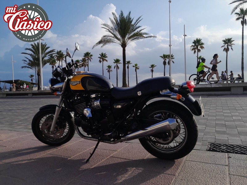 THUNDERBIRD SPORT 900