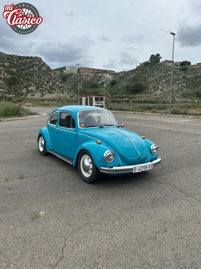 escarabajo