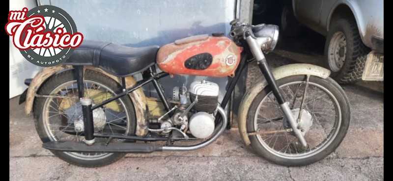 brio 81
