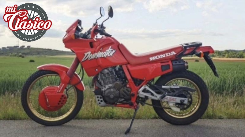 DOMINATOR 650