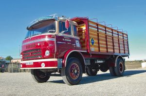 BARREIROS AZOR: Un camión con aspiraciones