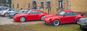 Històrics: éxito absoluto en el 15º Encuentro de Porsches de Invierno