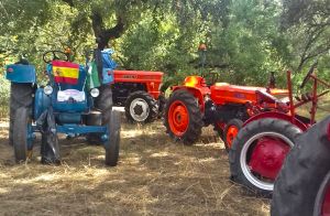 De Ruta con la Asociación Andaluza Amigos del Tractor Agrícola